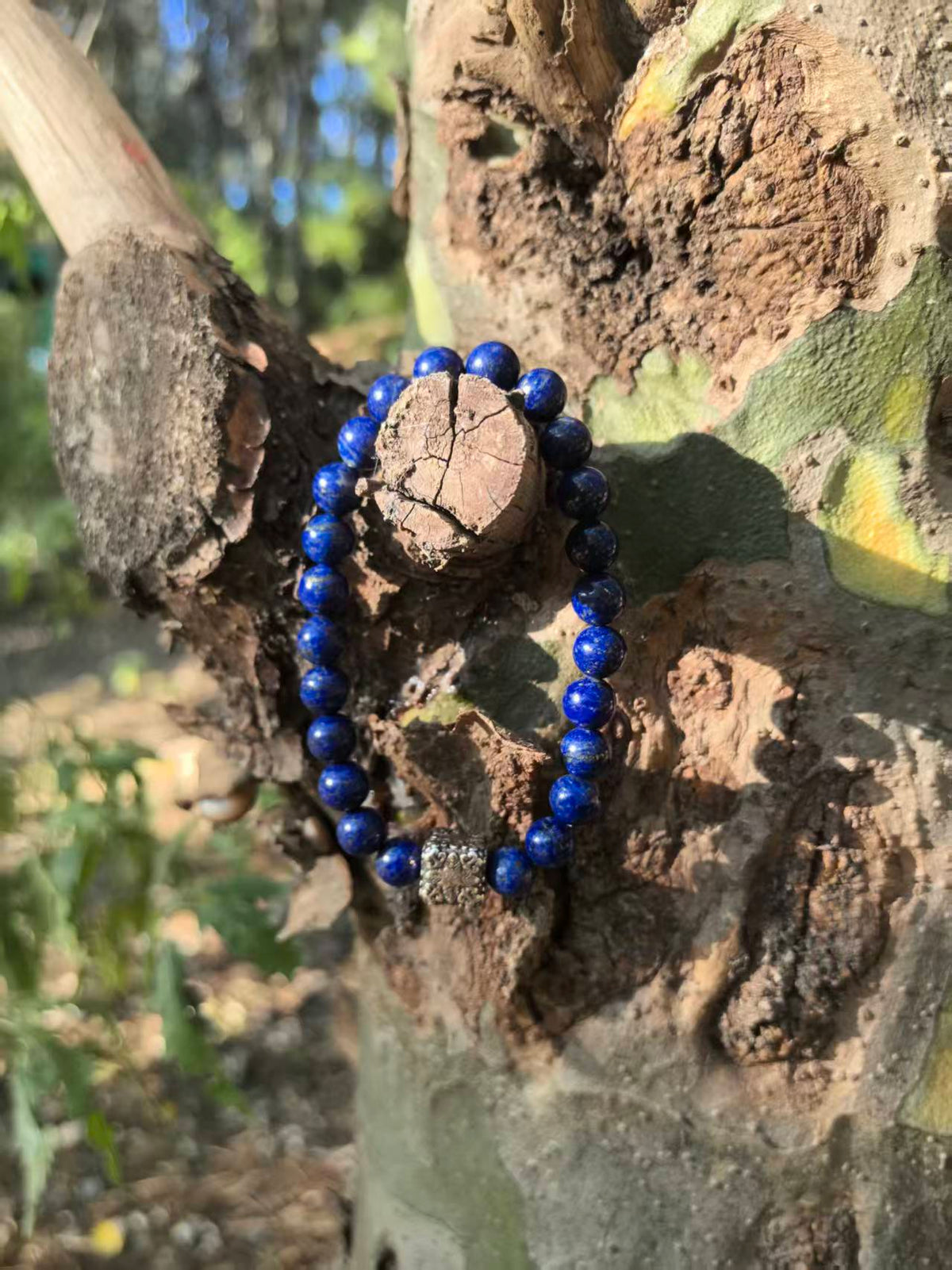Lapis Lazuli